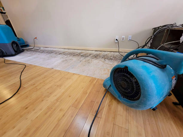 Professional Water Removal technician working in Heath, OH